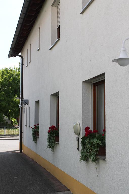 Hirschengarten Hotel Freiburg Bagian luar foto